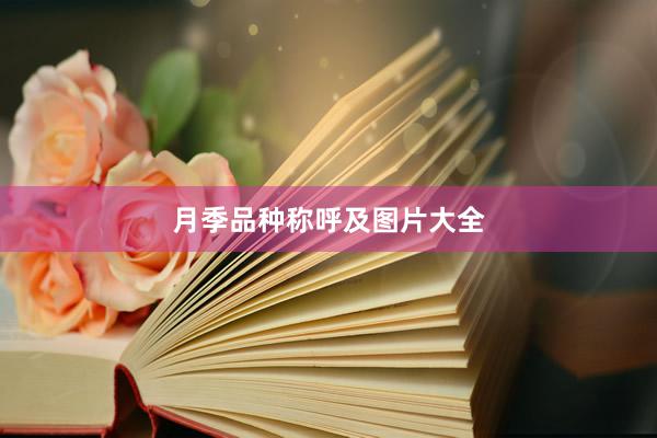 月季品种称呼及图片大全